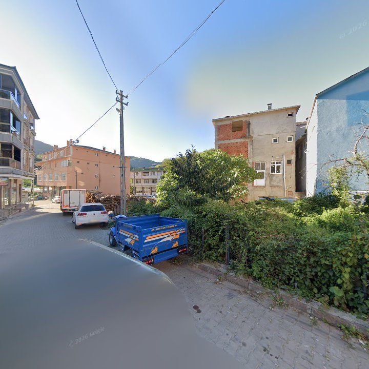 Fotoğraf 3