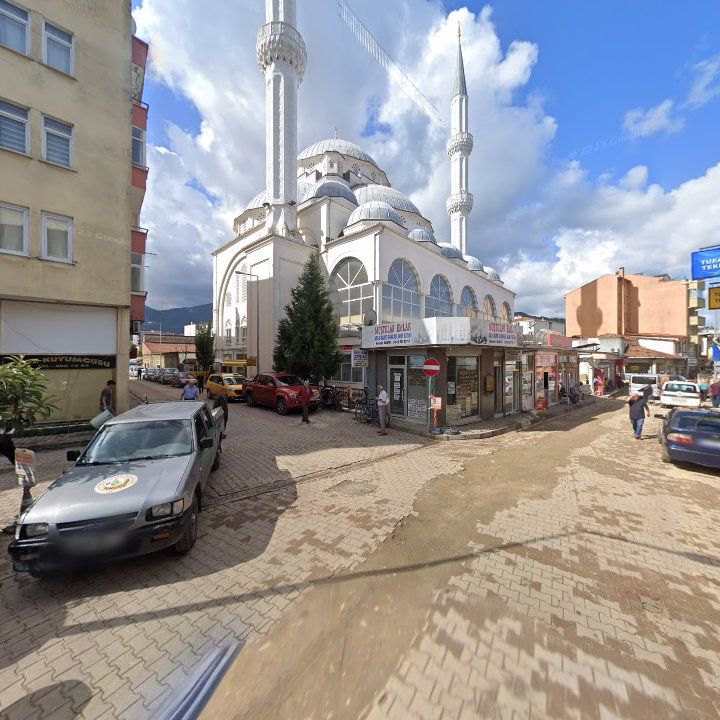 Fotoğraf 5