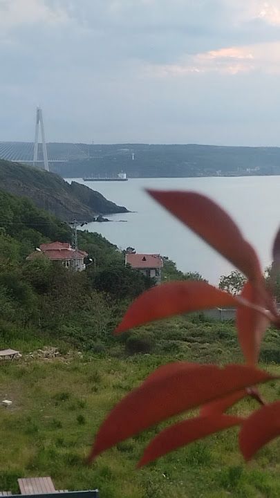 Fotoğraf 39