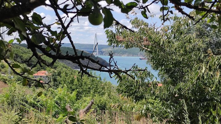 Yorum fotoğrafı 2