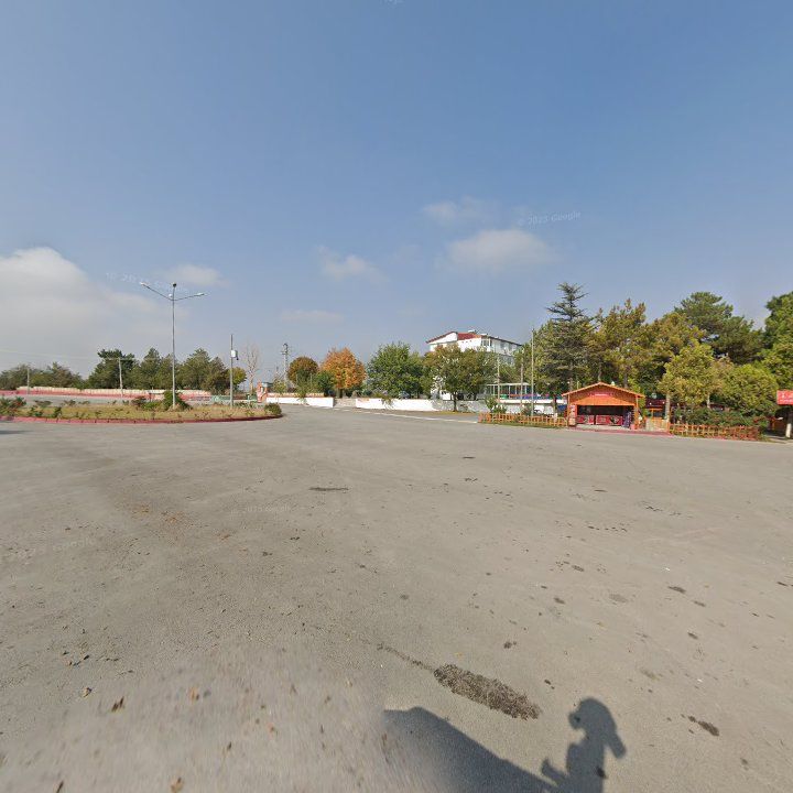 Fotoğraf 8