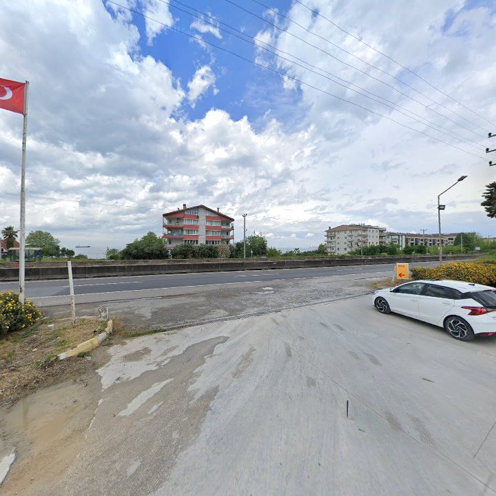 Fotoğraf 10