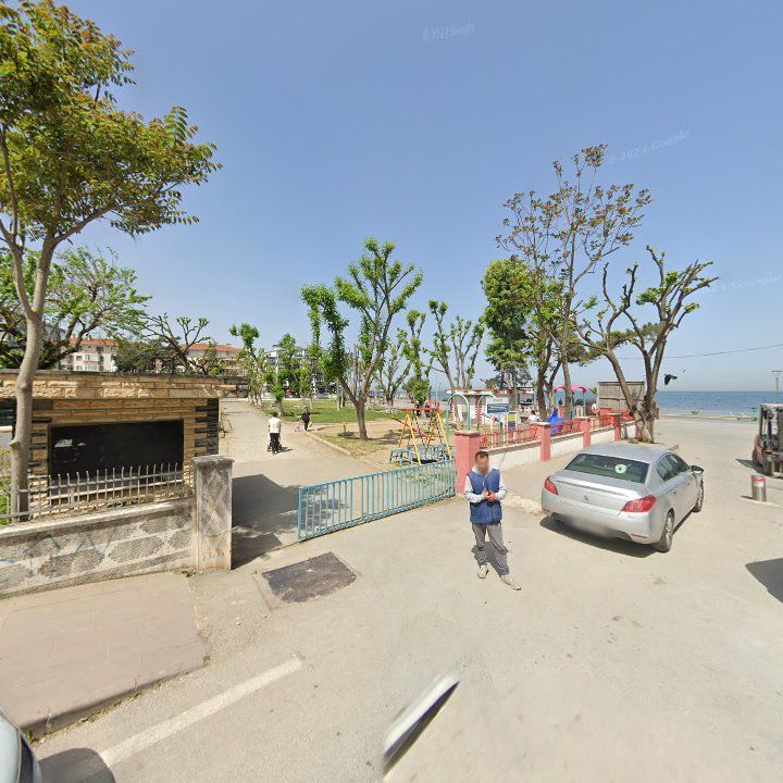 Fotoğraf 8