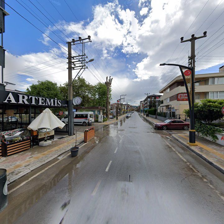 Fotoğraf 8
