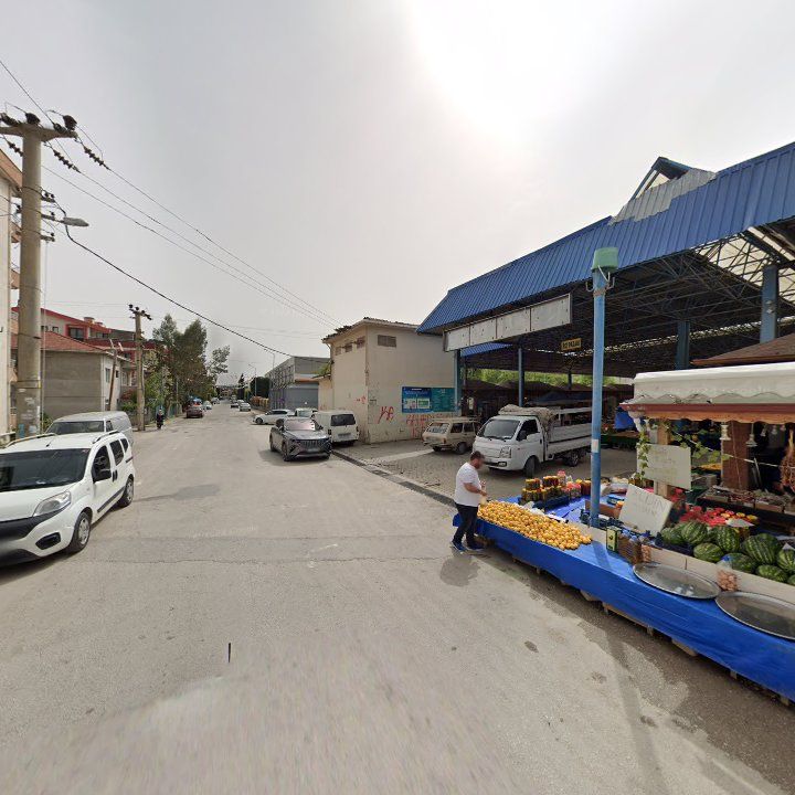 Fotoğraf 9