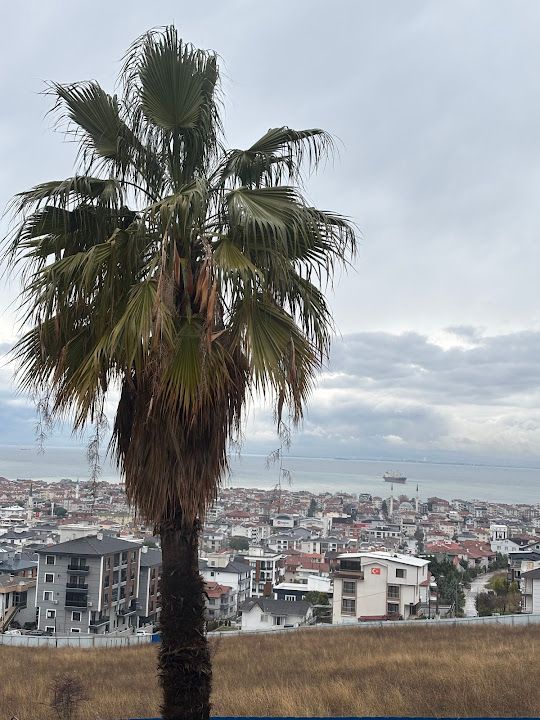 Yorum fotoğrafı 2