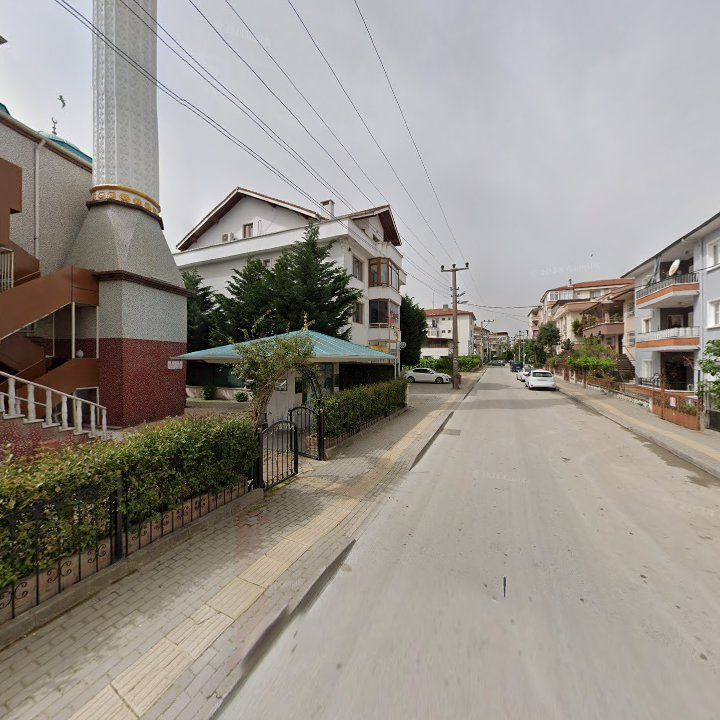 Fotoğraf 10