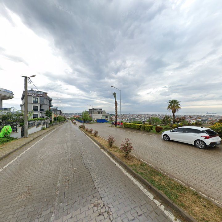 Fotoğraf 10