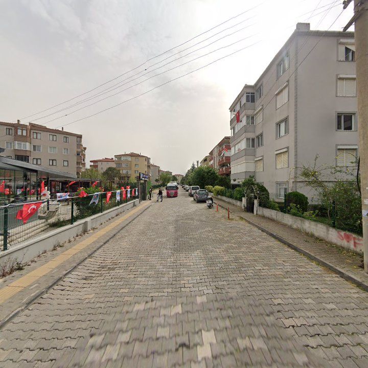 Fotoğraf 8