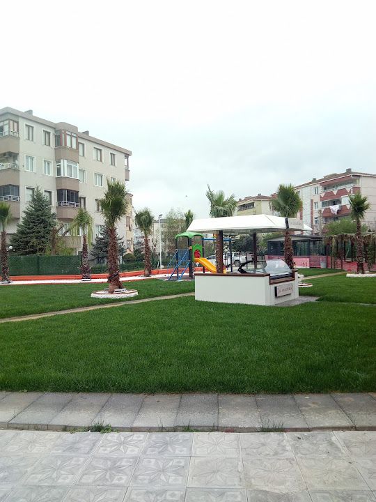 Fotoğraf 6