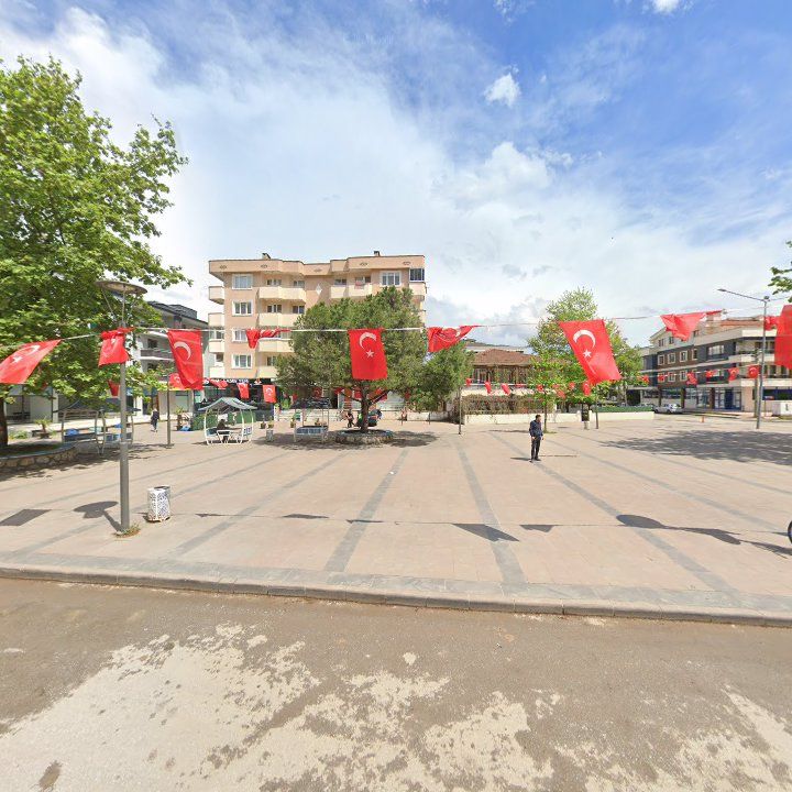 Fotoğraf 7