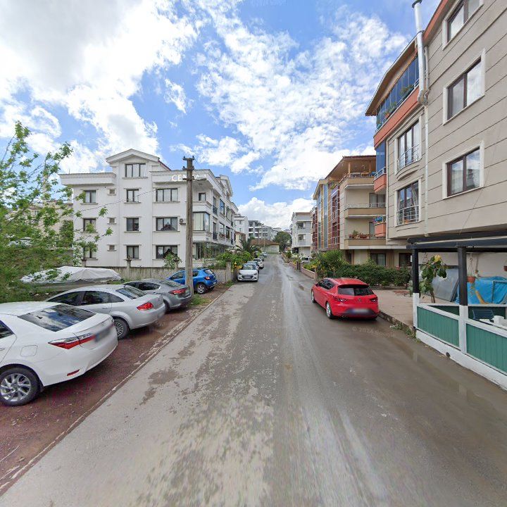 Fotoğraf 8