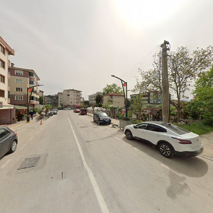 Fotoğraf 10