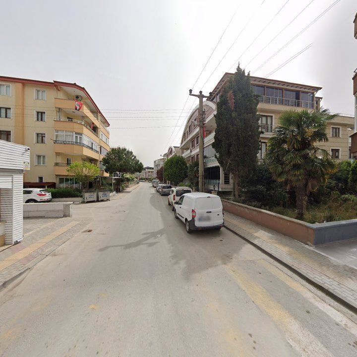 Fotoğraf 7