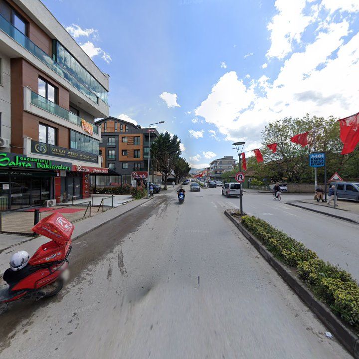 Fotoğraf 8