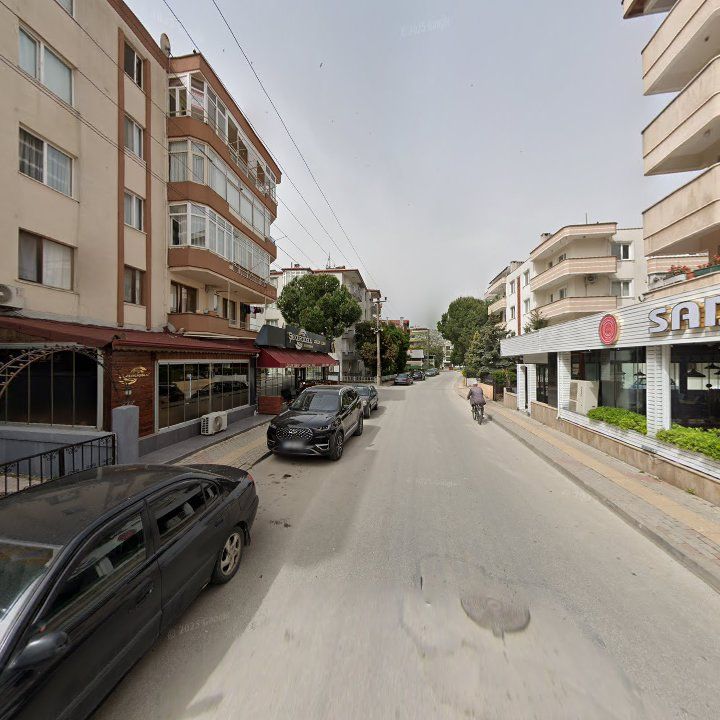 Fotoğraf 12