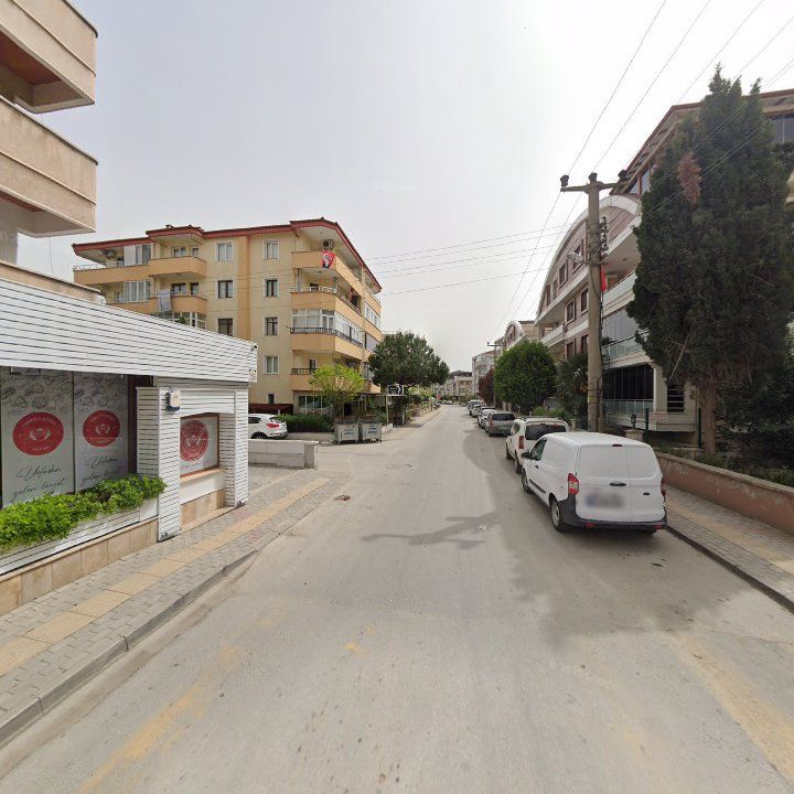 Fotoğraf 10