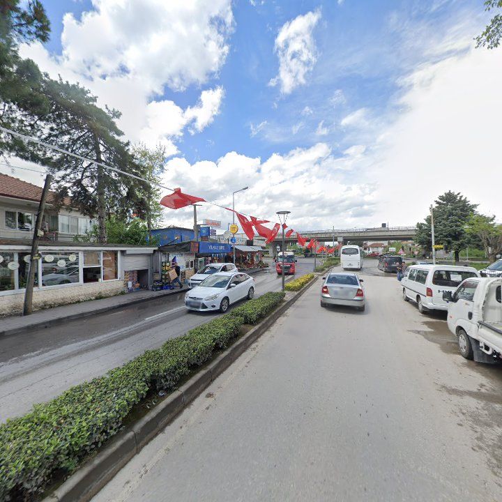Fotoğraf 9