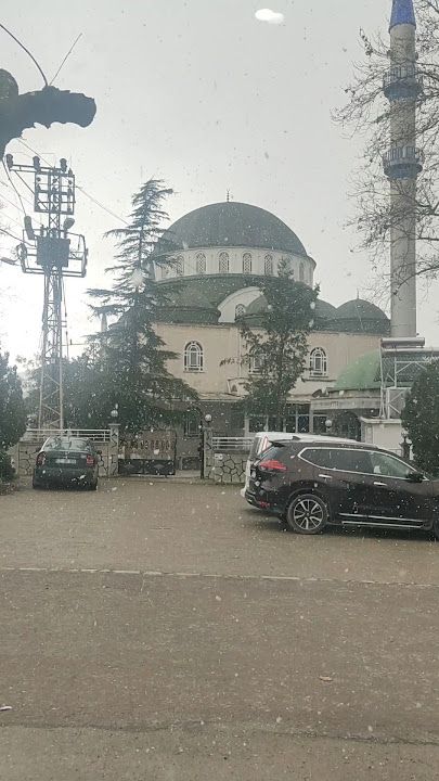 Fotoğraf 3