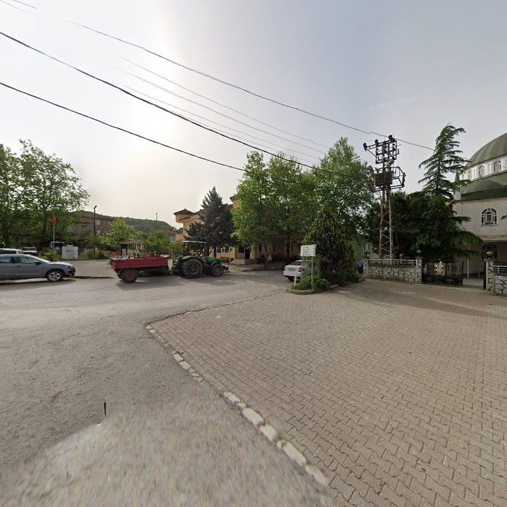 Fotoğraf 8