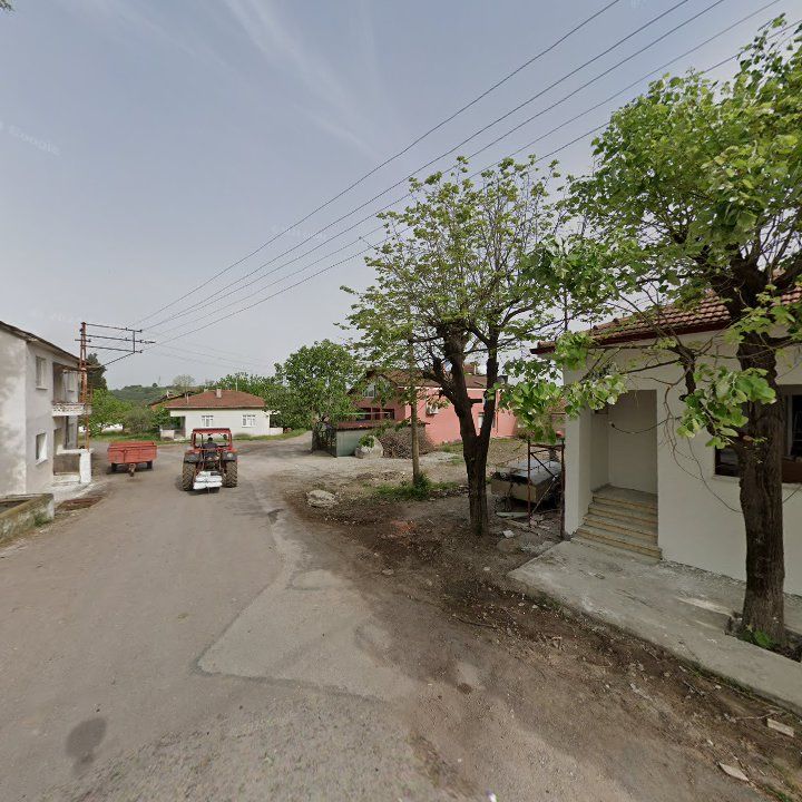 Fotoğraf 10
