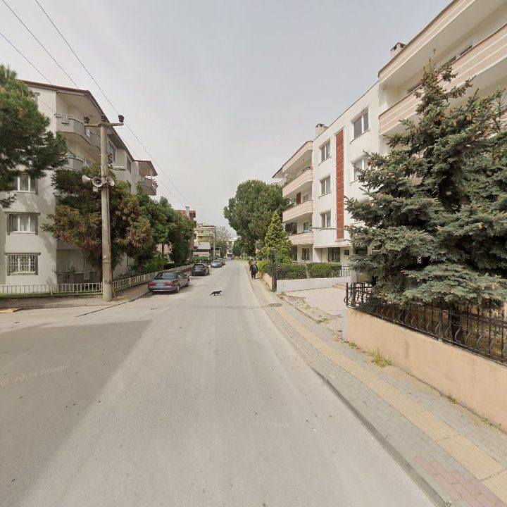 Fotoğraf 10