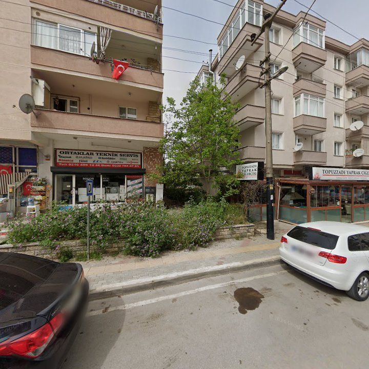 Fotoğraf 7
