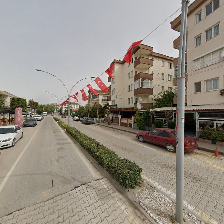 Fotoğraf 9