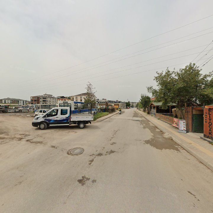 Fotoğraf 7