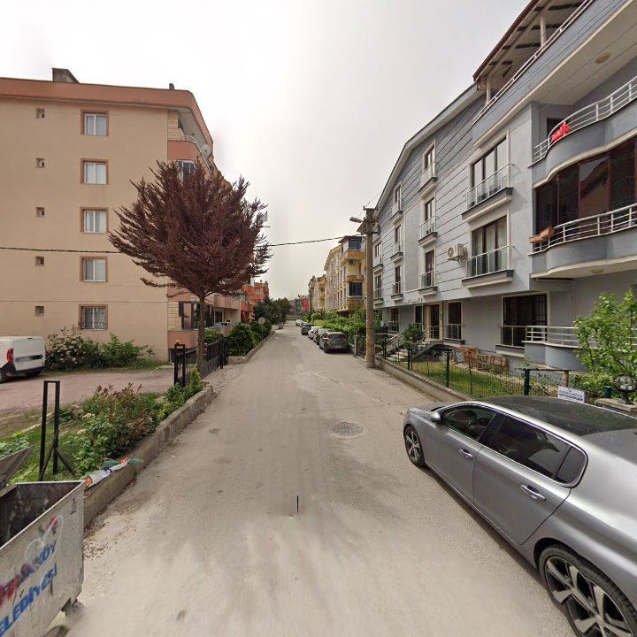 Fotoğraf 6