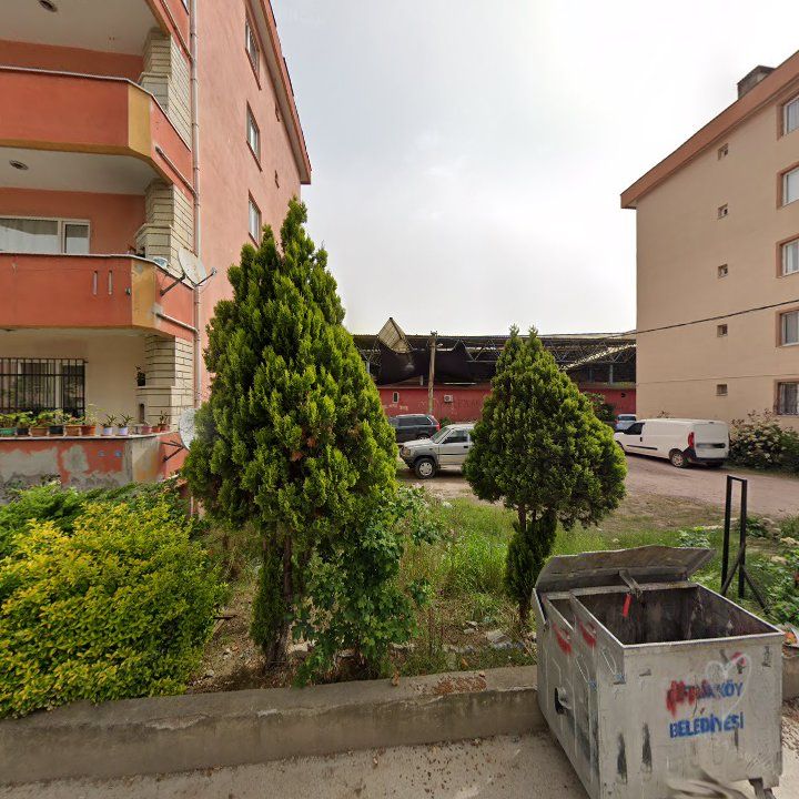 Fotoğraf 5