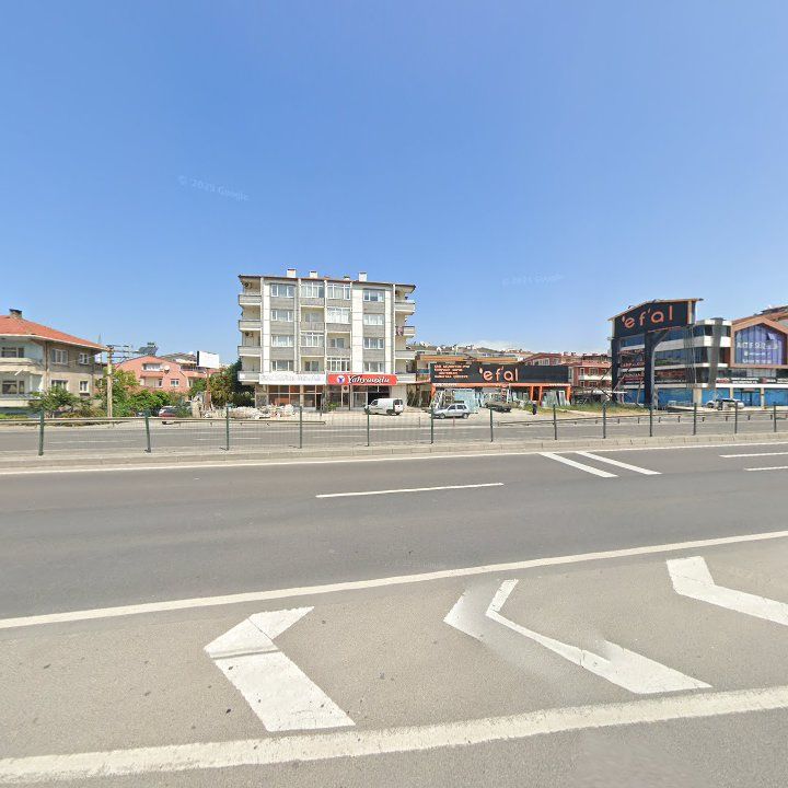 Fotoğraf 12