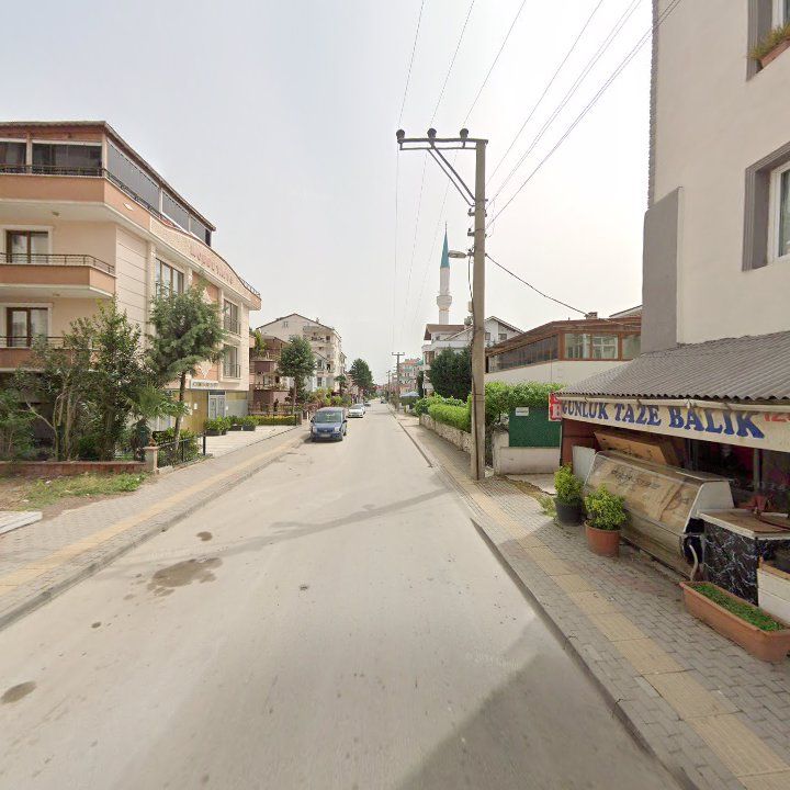 Fotoğraf 12