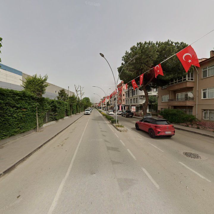 Fotoğraf 9