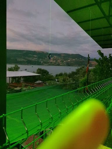 Fotoğraf 12
