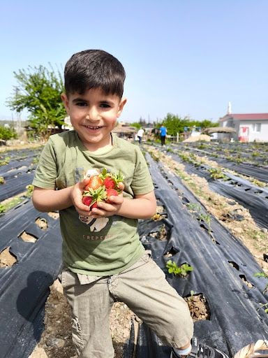 Yorum fotoğrafı 7