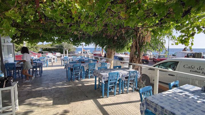 Fotoğraf 23