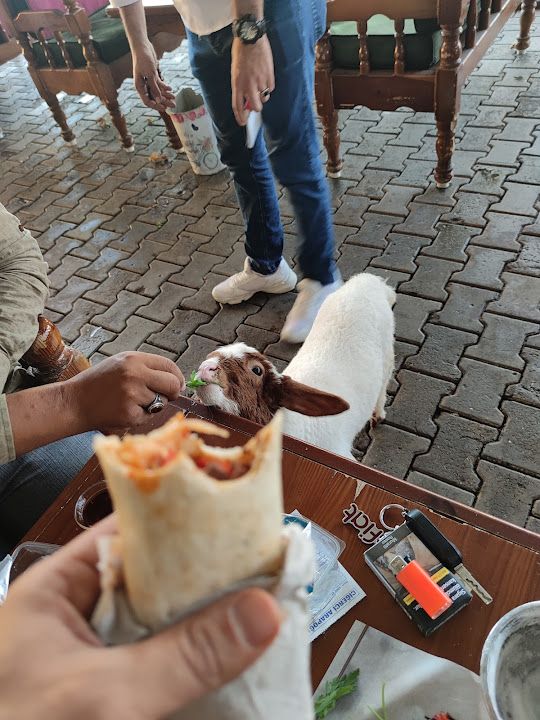 Fotoğraf 26