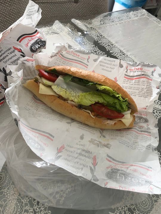 Fotoğraf 15