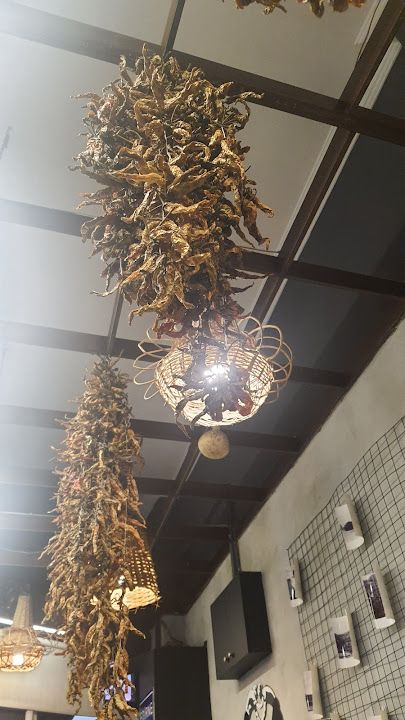 Fotoğraf 54