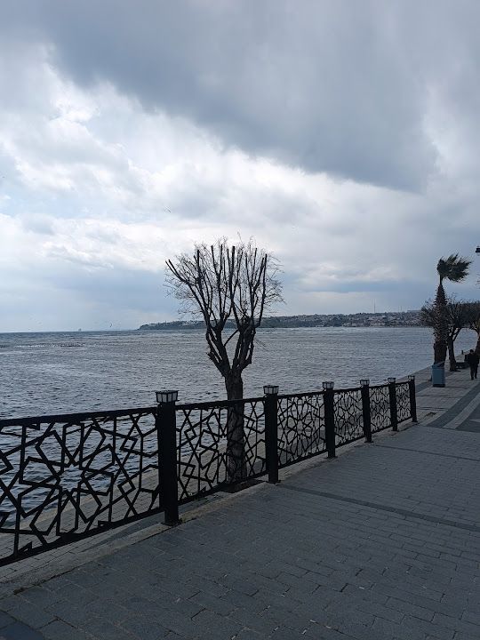 Yorum fotoğrafı 3