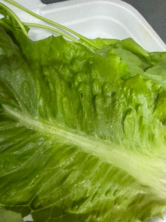 Fotoğraf 35