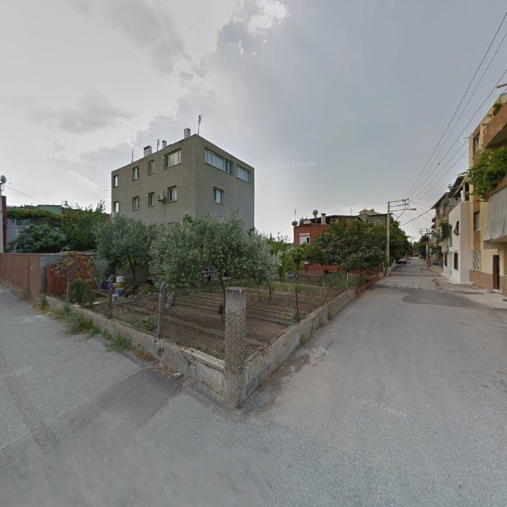 Fotoğraf 8