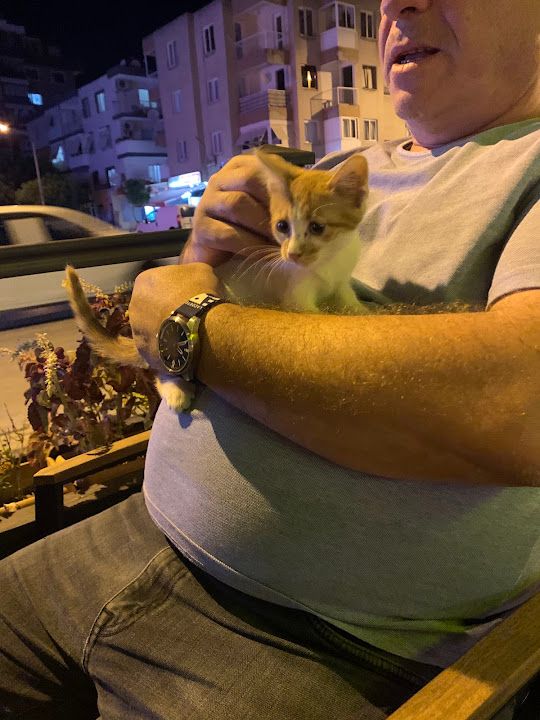 Fotoğraf 37