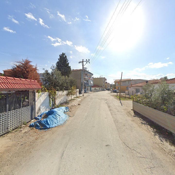 Fotoğraf 2