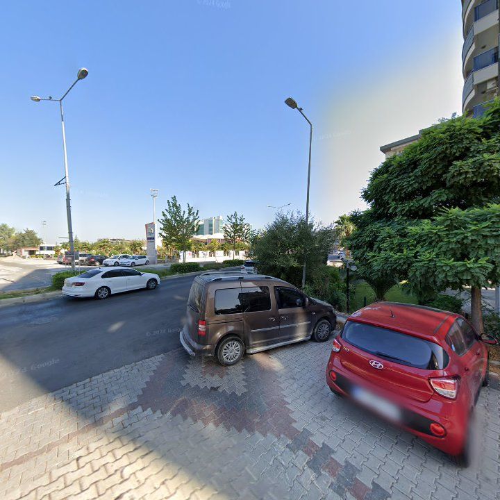 Fotoğraf 9