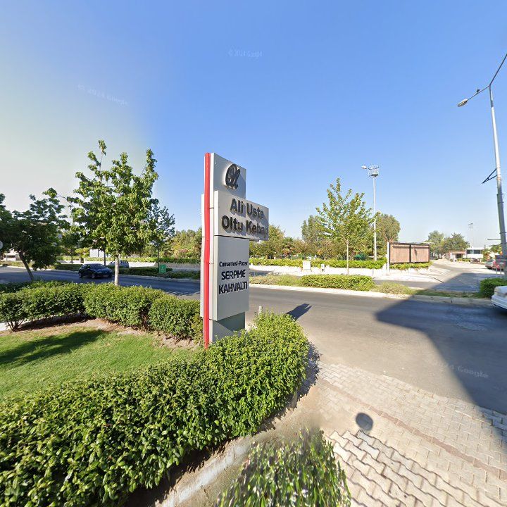 Fotoğraf 8