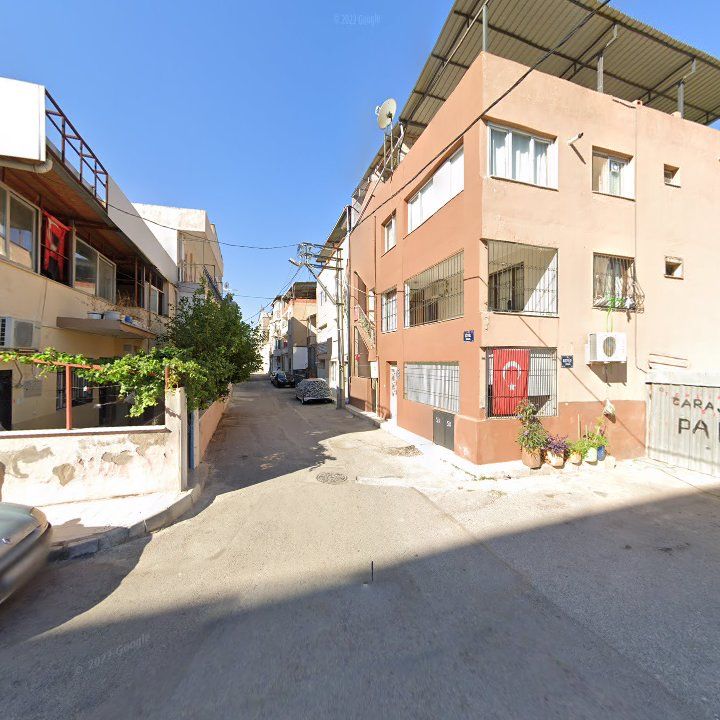 Fotoğraf 7
