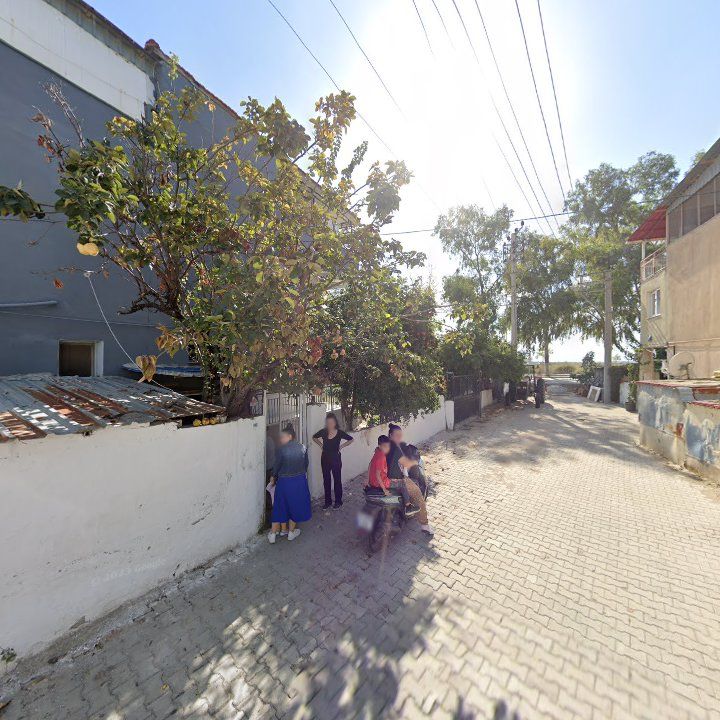 Fotoğraf 6