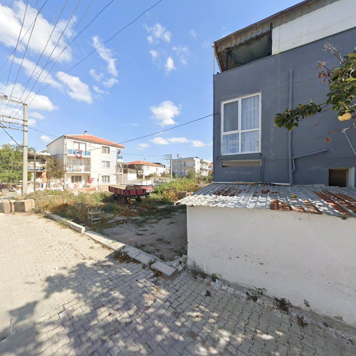 Fotoğraf 9